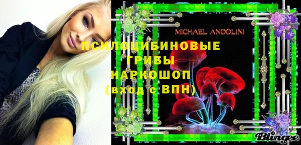 МДПВ Алзамай