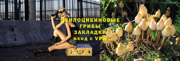 синтетический гашиш Алексеевка