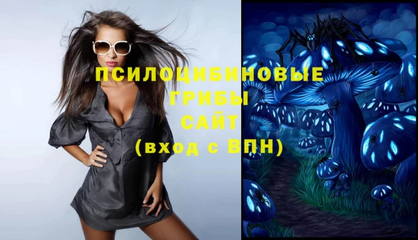 МДПВ Алзамай