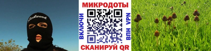 Галлюциногенные грибы Magic Shrooms  наркота  kraken рабочий сайт  Волгодонск 