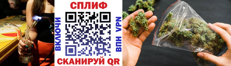 Бошки Шишки VHQ  продажа наркотиков  Волгодонск 